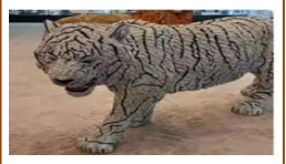 Big Tiger 90/2040