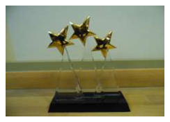 Award D3 customers 26*9*32cm