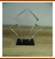 Award for D3 customers 15.5*7*33cm