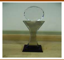 Award D3 customers 14*7*39cm