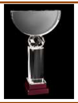 AWARD 13/1 (3D)