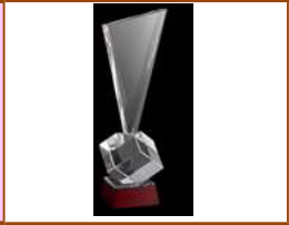 Award No.20