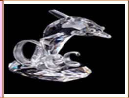 DOLPHIN 955