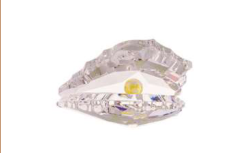 PEARLY SHELL 301/911/2