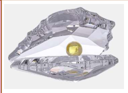 PEARLY SHELL 301/911/3