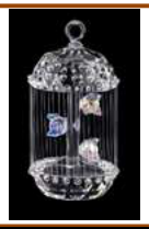 BIRD CAGE 607/60