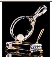 PEN HOLDER 20/21 Bing Bong racket