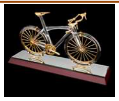 Race bicycle - 18/290/470