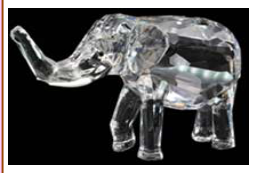 Elephant13/2024 (transparent )