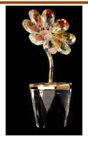 Vase rose 5 * 14 colors