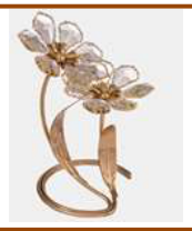 Flower - Golden shadow -  406/2