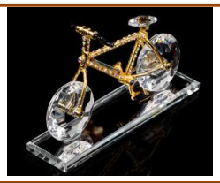 bicycle 145/768/12