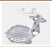 Antelope - 14/55/645