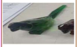 Green parrot 8*6*12