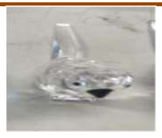 Crystal parrot 8*6*12