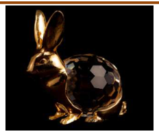 Golden Rabbit 37/750