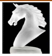 Transparent horse head cast 6/15/29