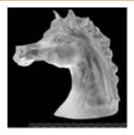 Transparent horse head cast 38/15/33