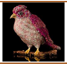 color sparrow  with Chatons13*11*14