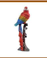 Parrot - Small (C.G) - 14/33/17