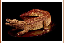 Crocodile inlaid with colored chatons 15/32/56