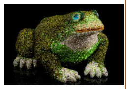 Frog 28/29/16 (C.G) - Colors