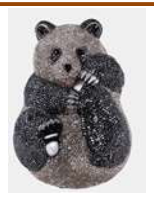 Panda 12/13/18 (C.G) - Colors