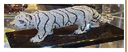 White Tiger 21/18/9