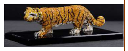 Yellow Tiger 21/9/18
