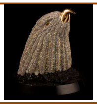 Transparent Eagle Head*Jet 30/27/26