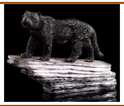Cheetah on a rock 48/15/35 (C.G) ? Jet