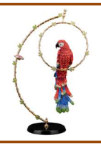 Parrot with stones 70/22/17