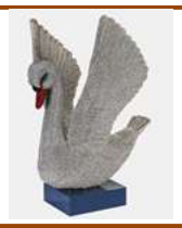 Big Swan 55/43/53 (C.G)Colors