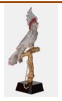 Parrot on a tree trunk 29/35/80 (C.G) - Colors